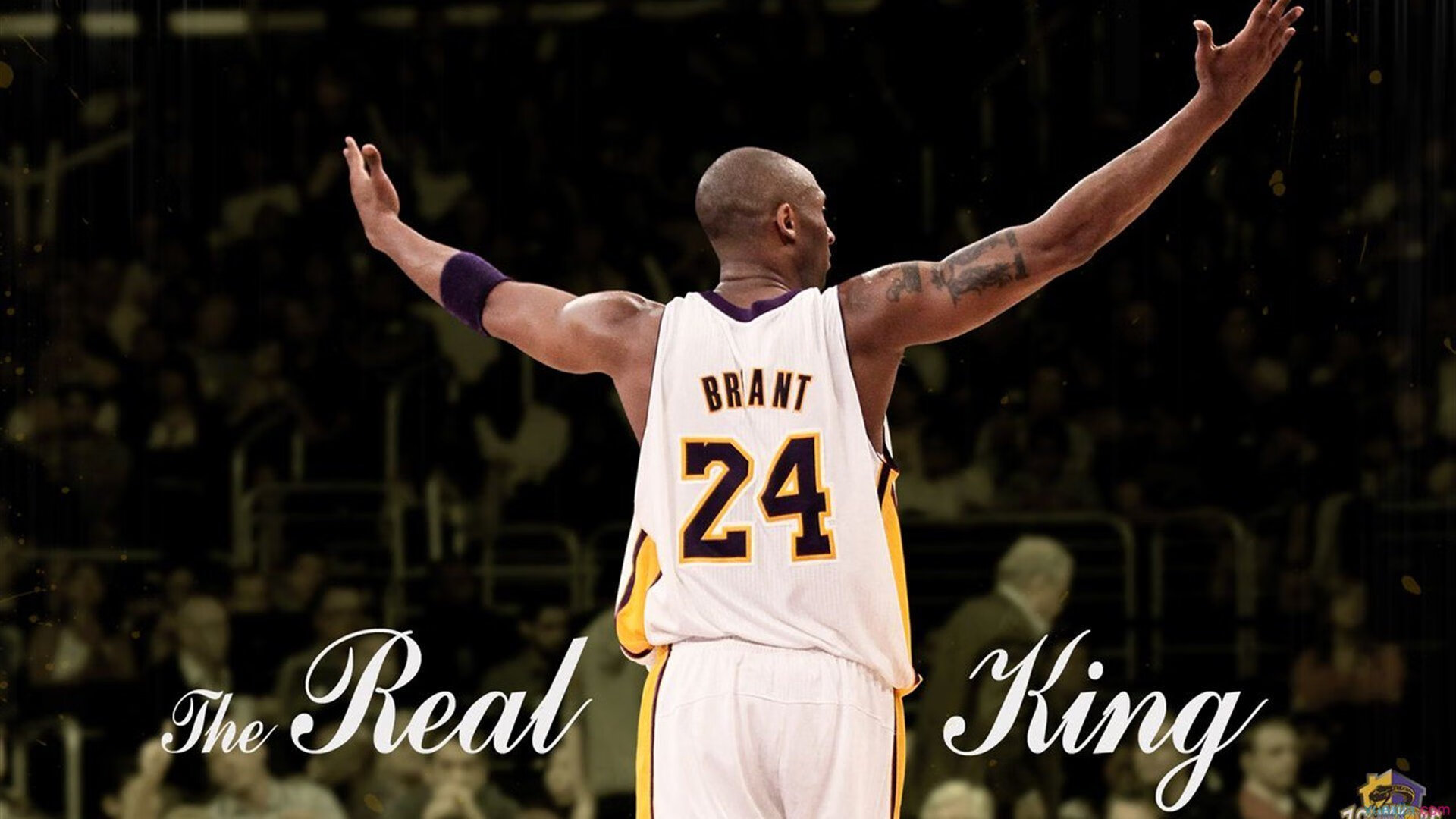 -LCK新版本适应分析，lck明年扩充